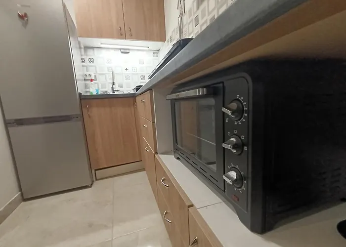 Little Lion 스플리트