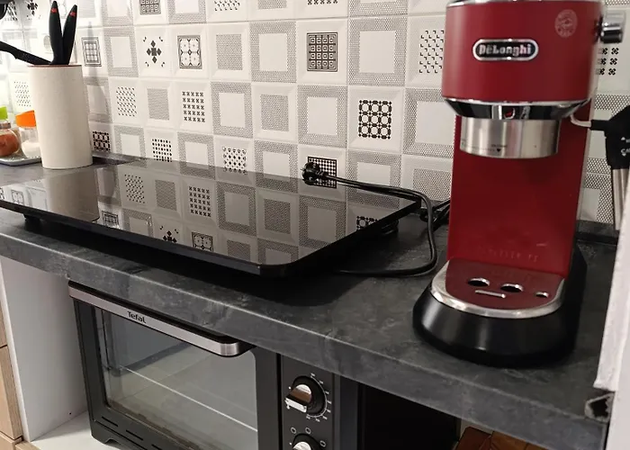 Little Lion Appartement *