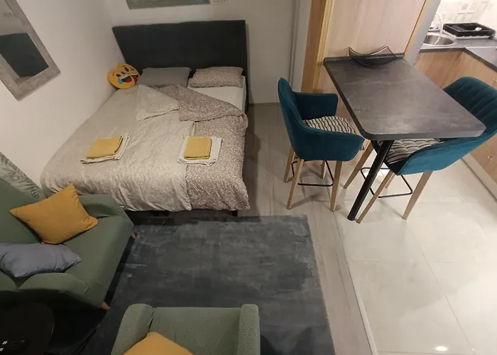 Little Lion * 스플리트