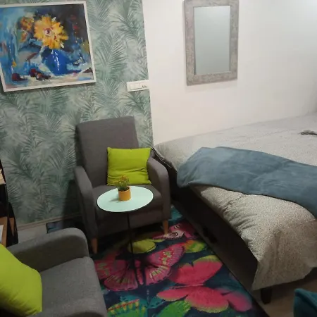 Little Lion Apartment