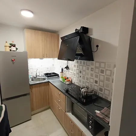 Apartment Little Lion